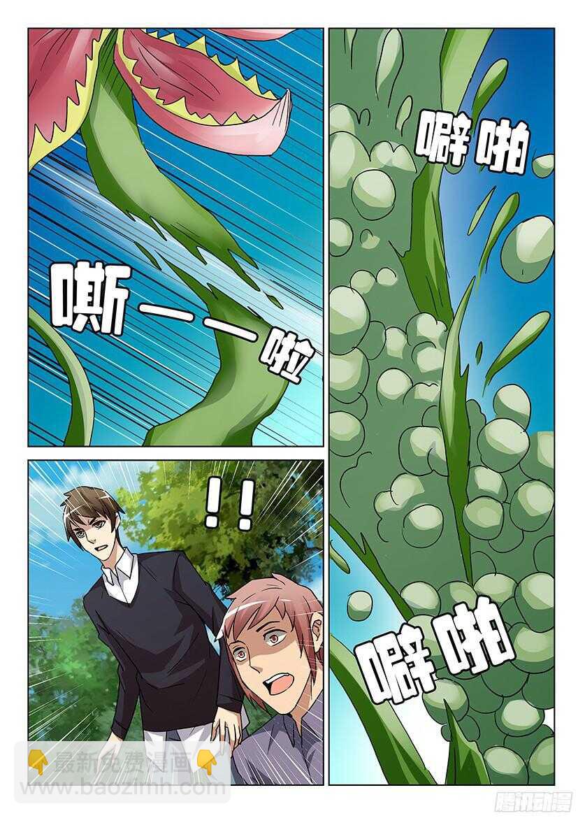 第507回 苏醒的花儿们3