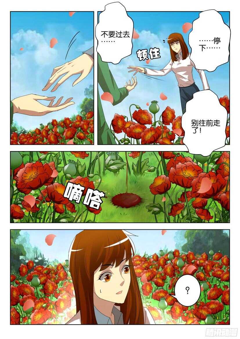 第519回 花之幻觉8