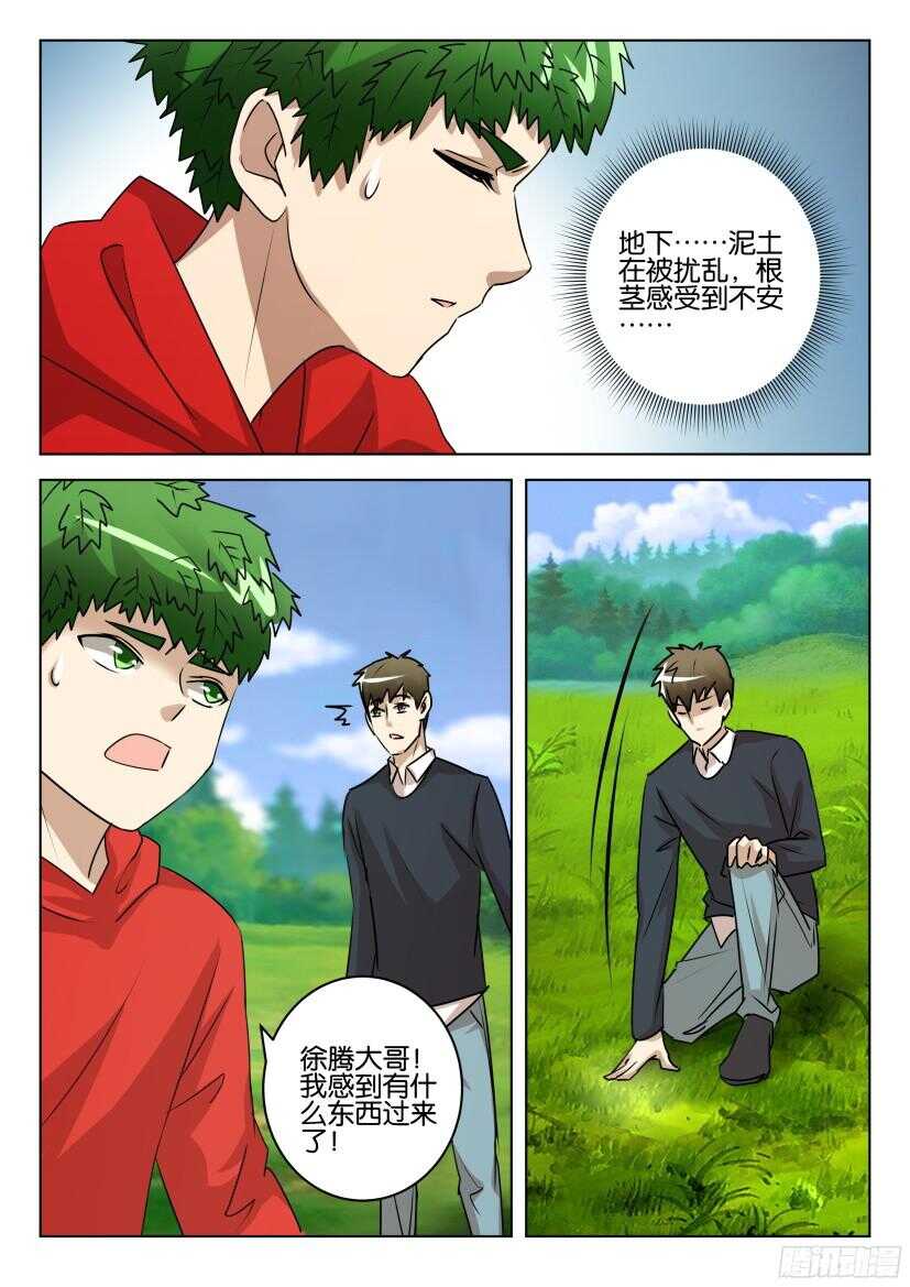 第525回 罂粟花葬3