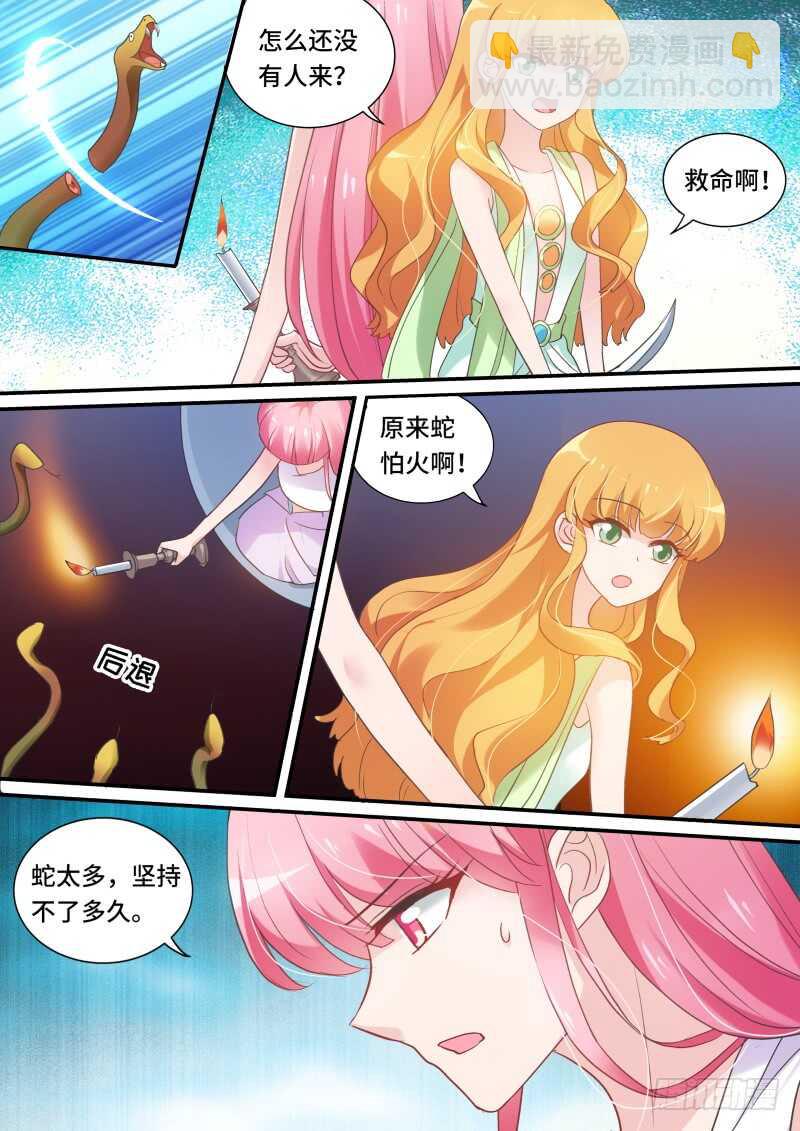 农夫与蛇？2
