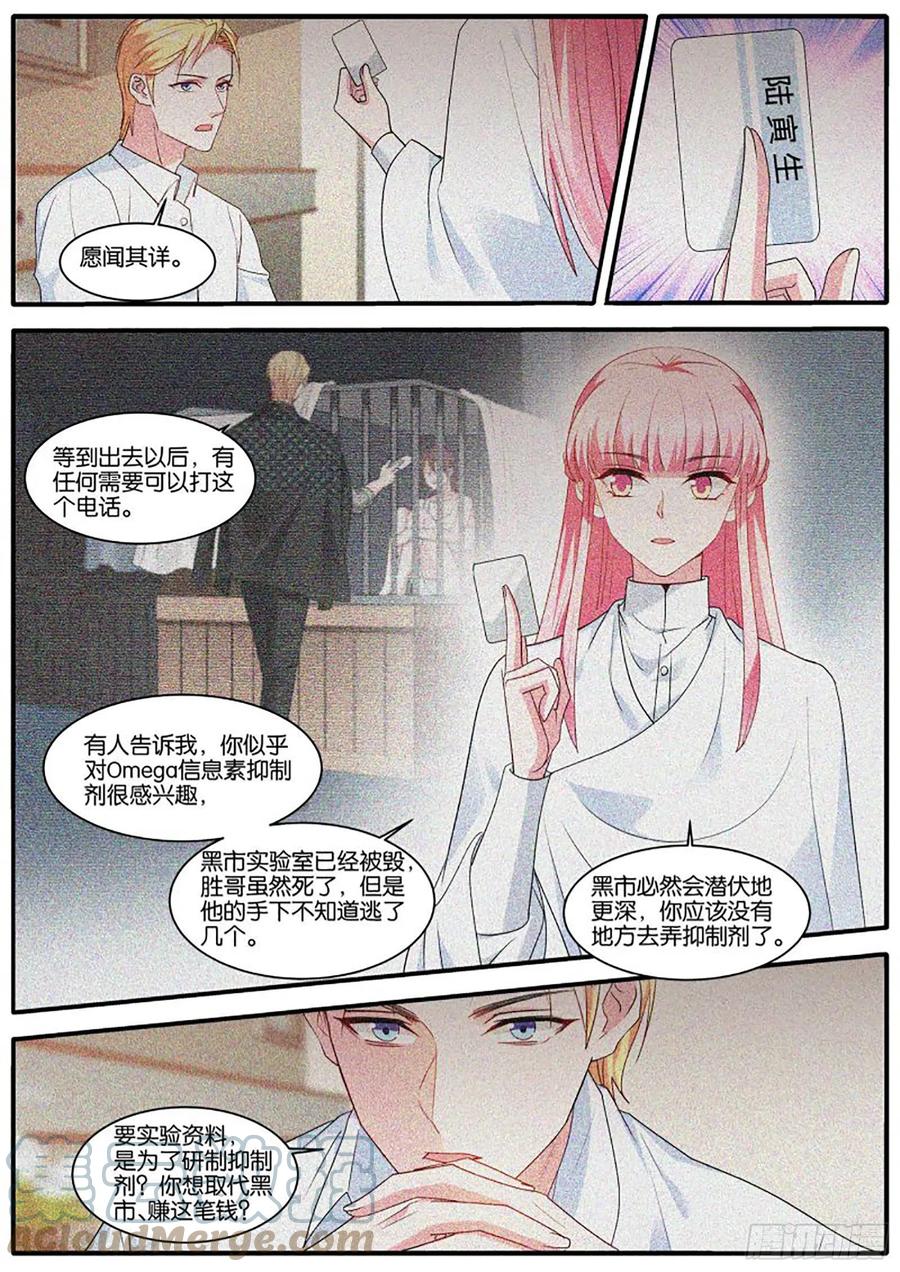 为了更美好的明天5