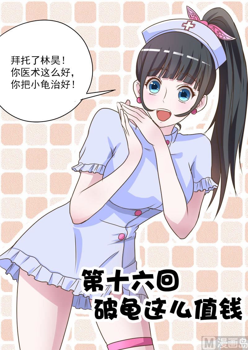 第016话 破龟这么值钱0