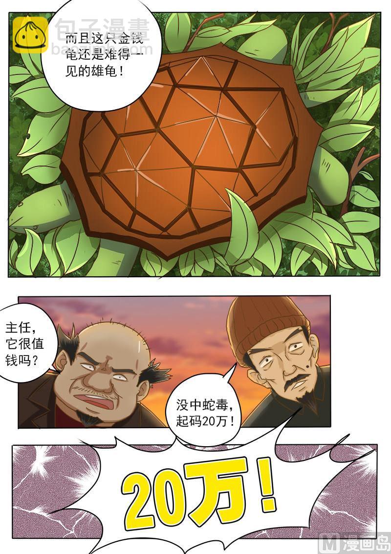 第016话 破龟这么值钱3