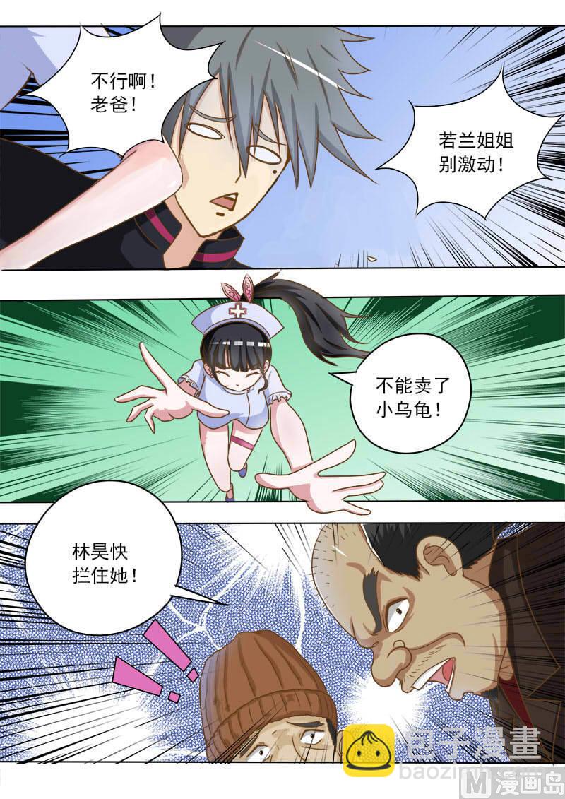 第016话 破龟这么值钱4
