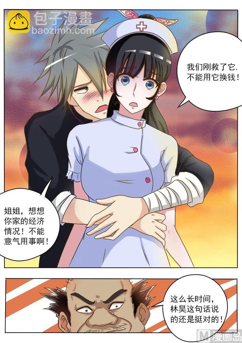 第016话 破龟这么值钱6