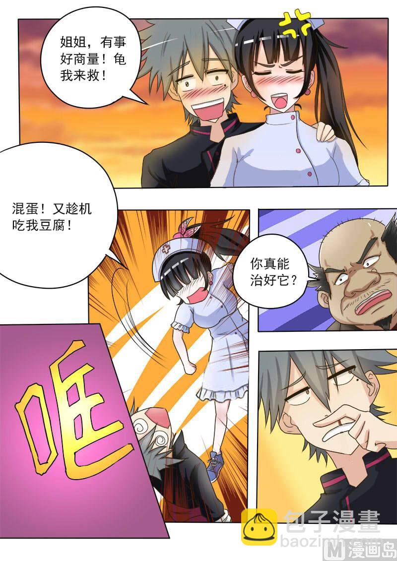 第016话 破龟这么值钱9
