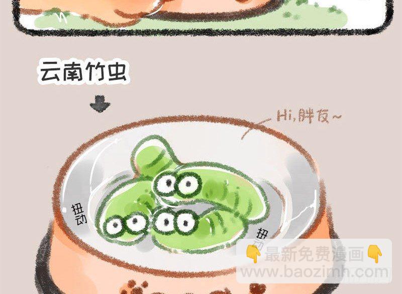 有朋自远方来，不亦招呼17