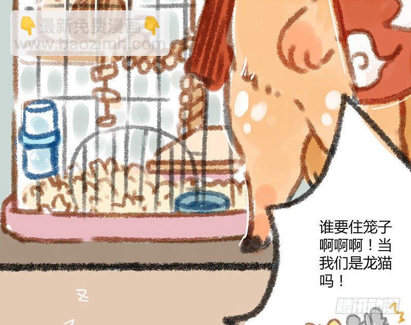 我本布衣14