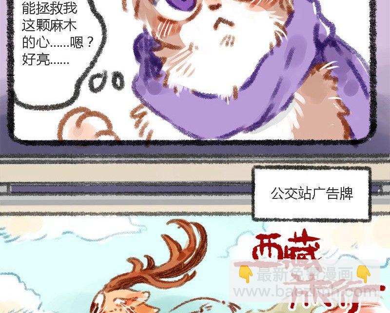 有美人兮，见之不忘。7