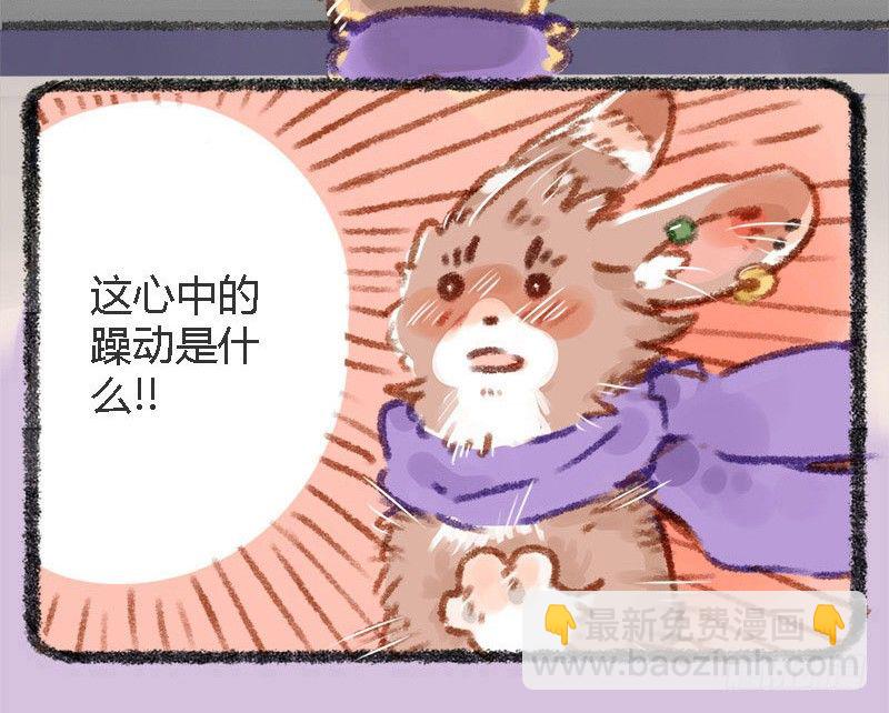 有美人兮，见之不忘。9