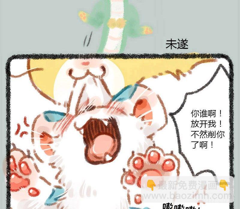 兵贵神速，咪咪咪咪10