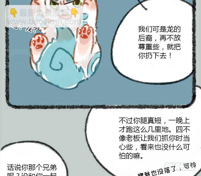 兵贵神速，咪咪咪咪12