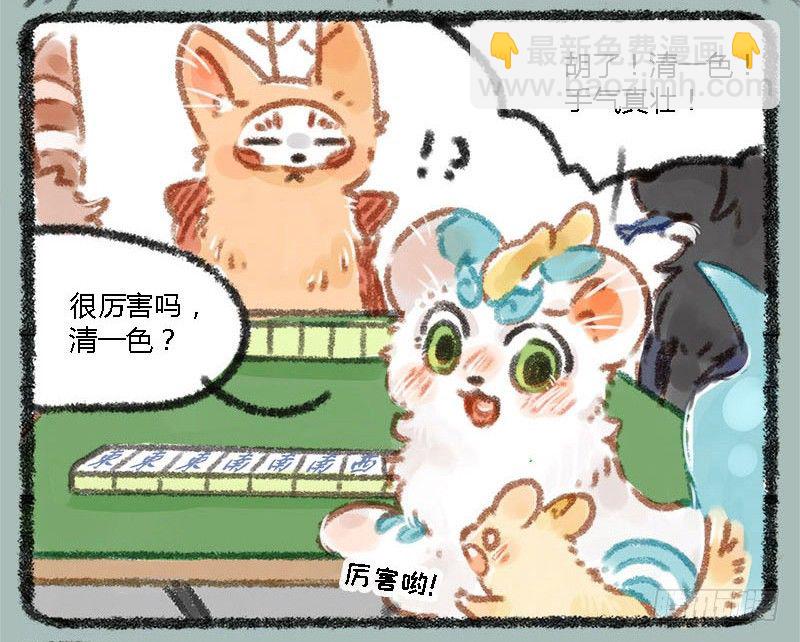 执子之手，赢完就走11