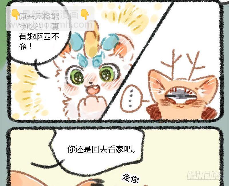 执子之手，赢完就走13