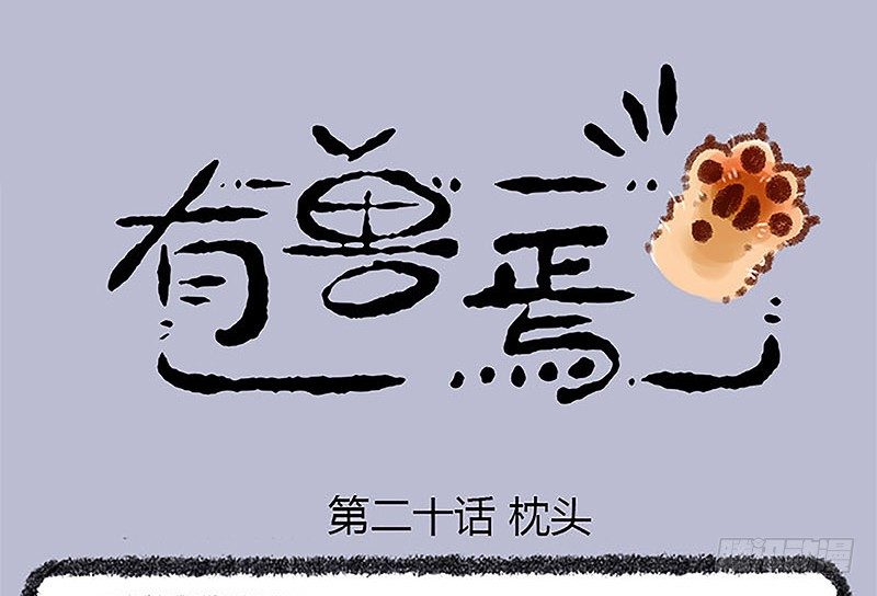 山穷水尽疑无路，白泽枕头治头秃0