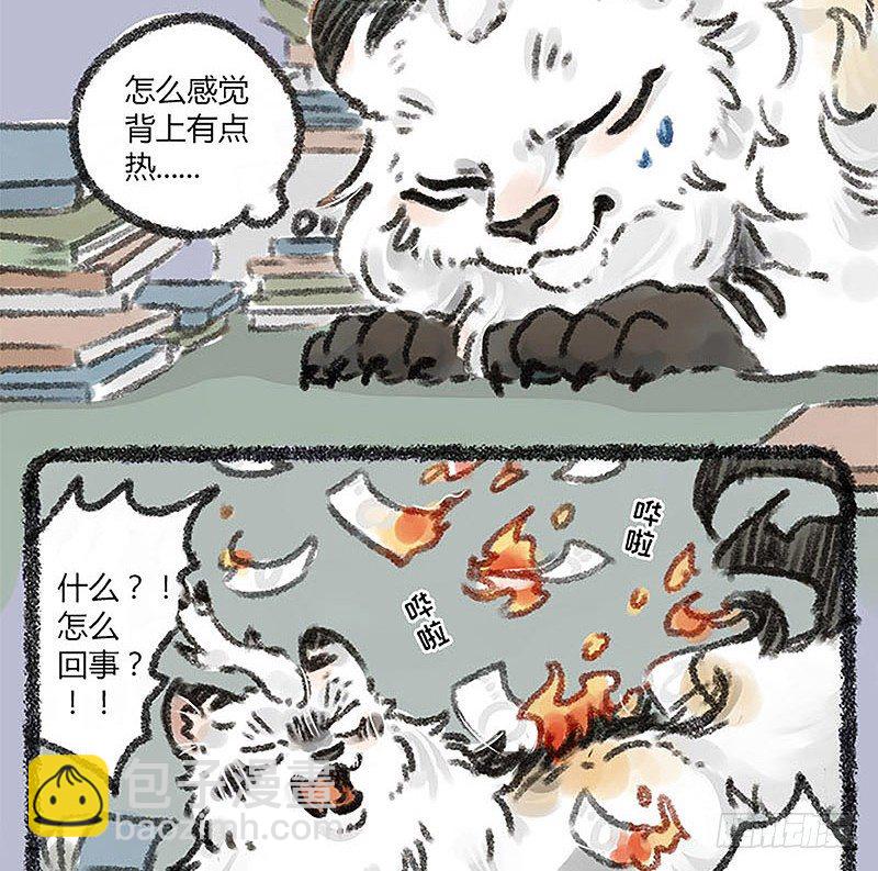 山穷水尽疑无路，白泽枕头治头秃12