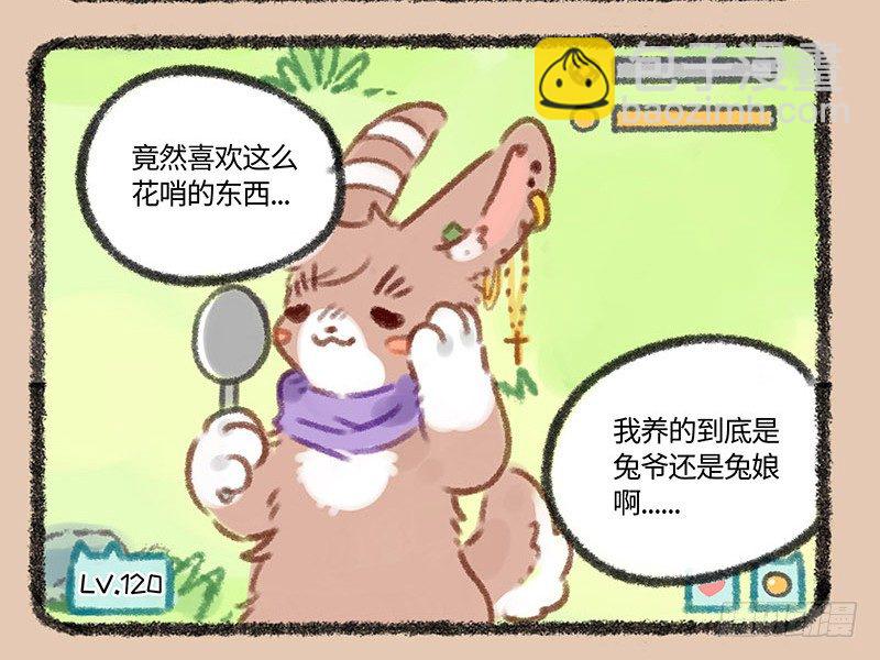 痴汉兔子养不起4
