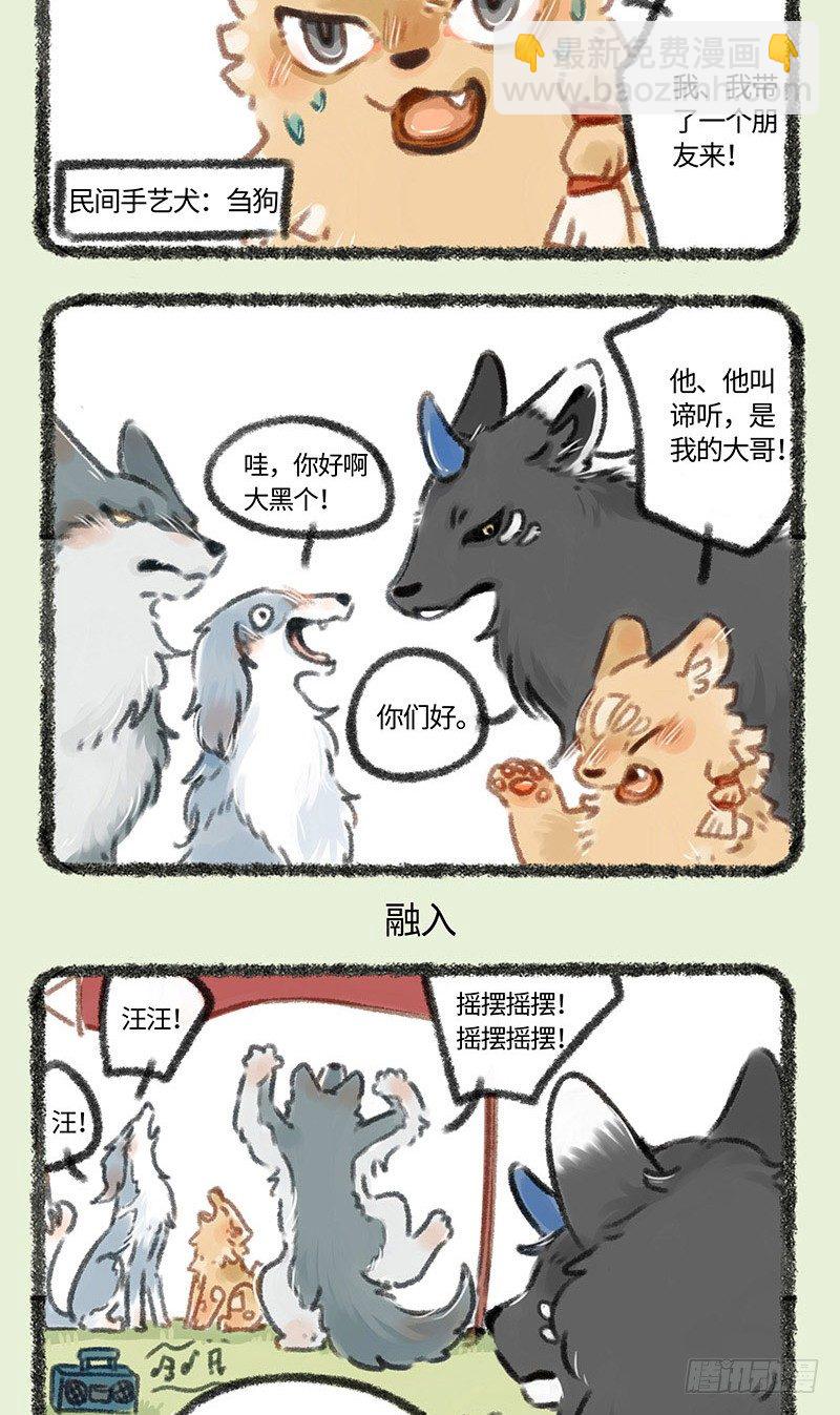 撒浪嗨狗狗聚会2