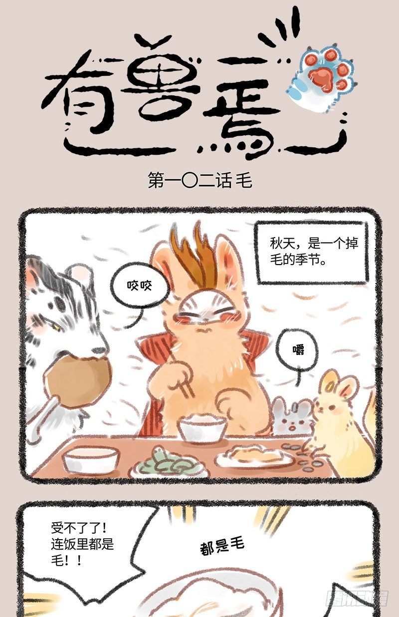 毛球神兽0