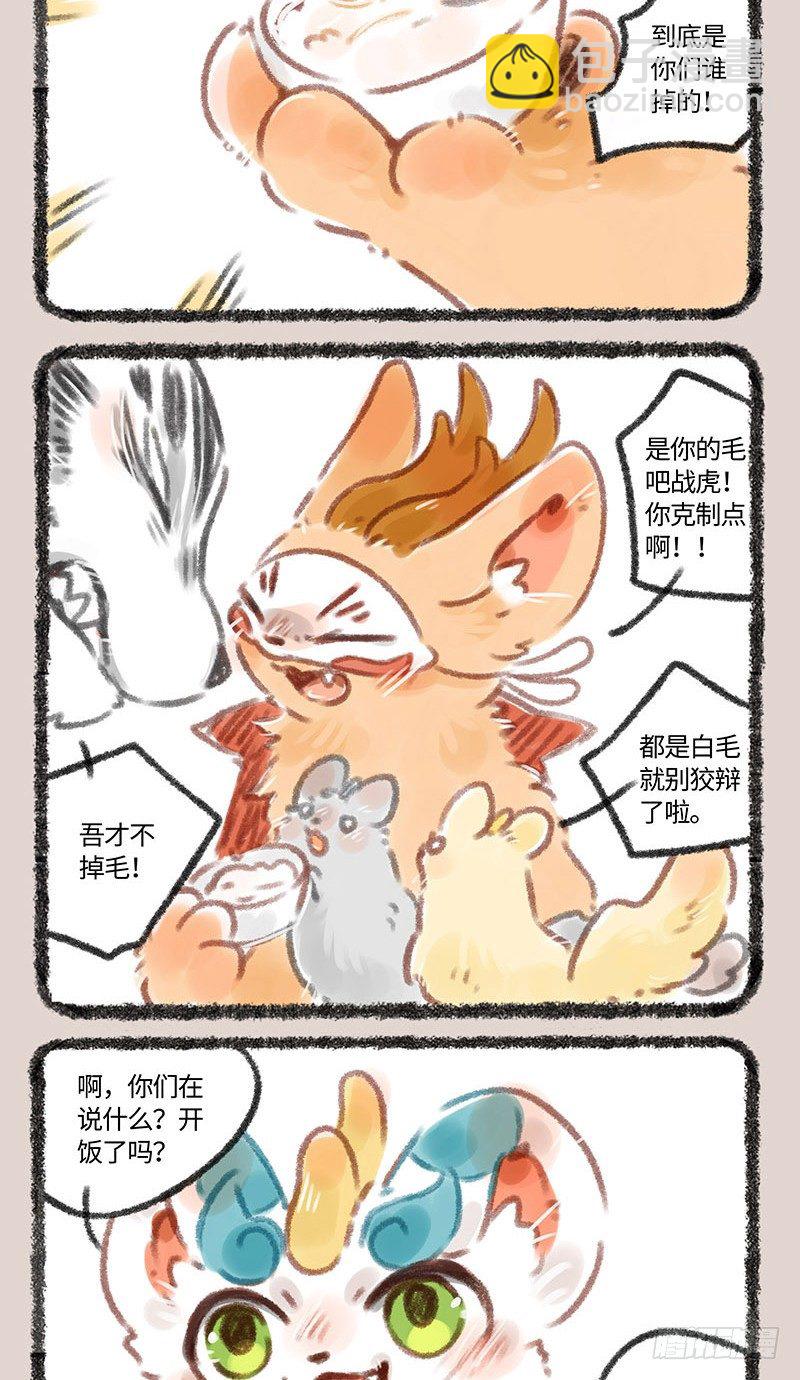 毛球神兽1