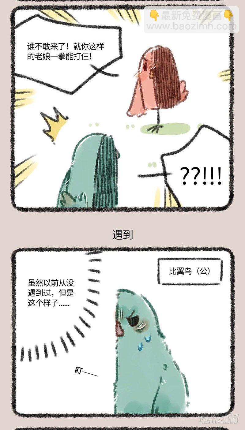 偶遇对家粉丝2