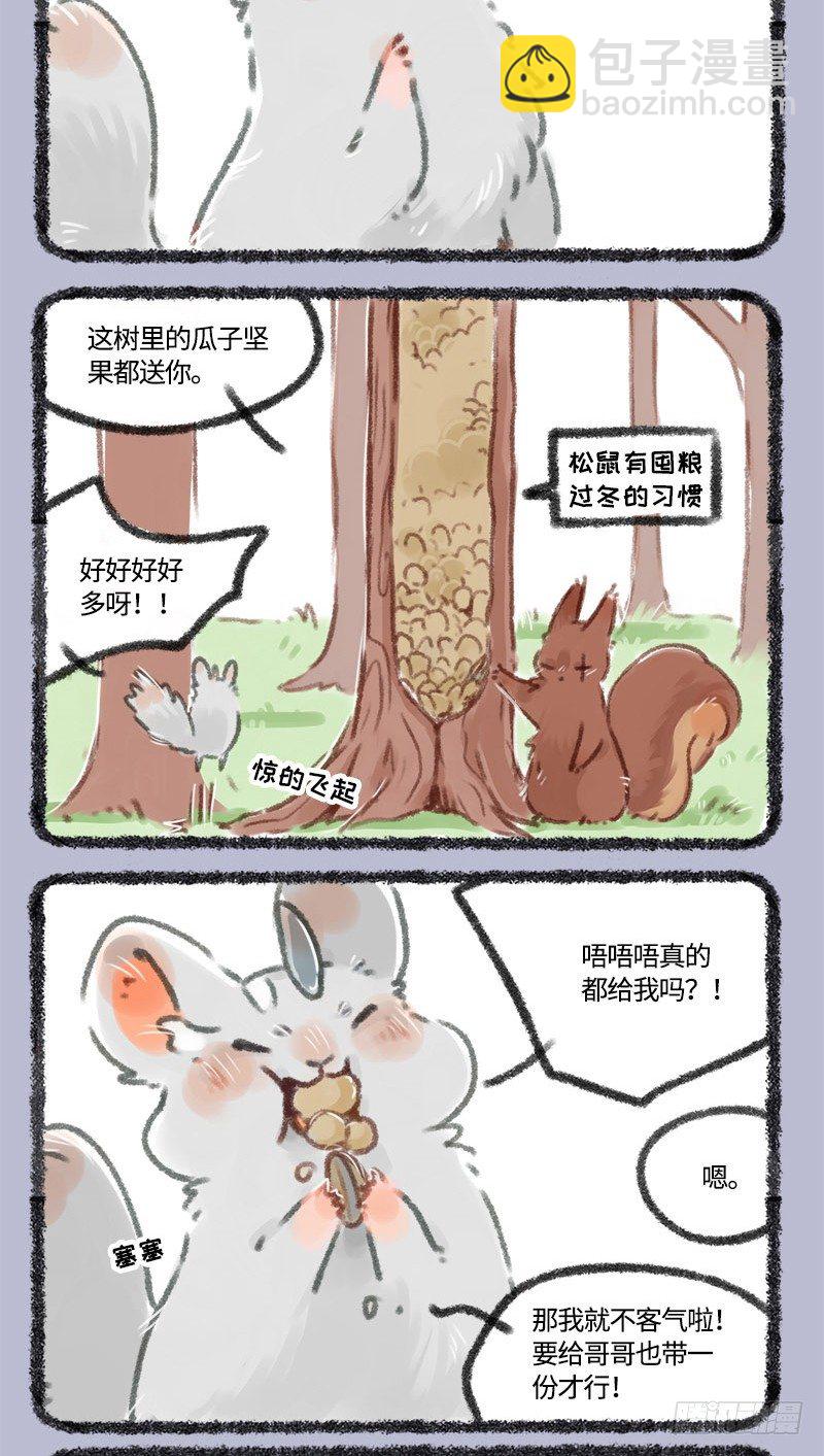 大松鼠的宝贝1