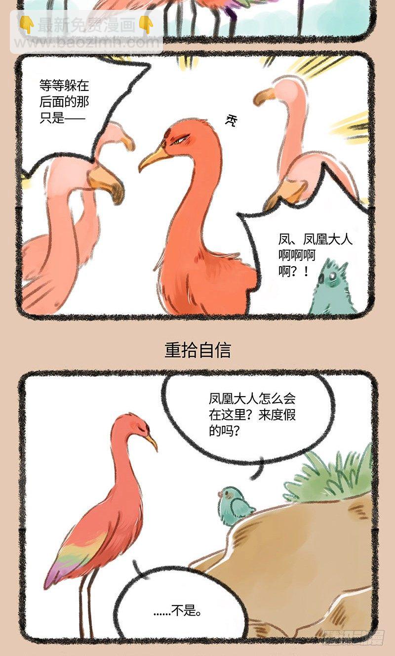 秃了2