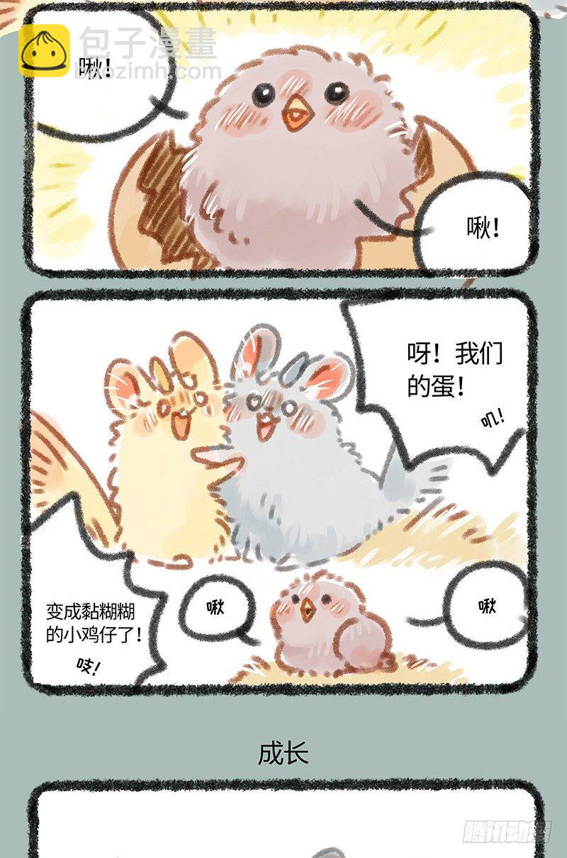 养鸡！2