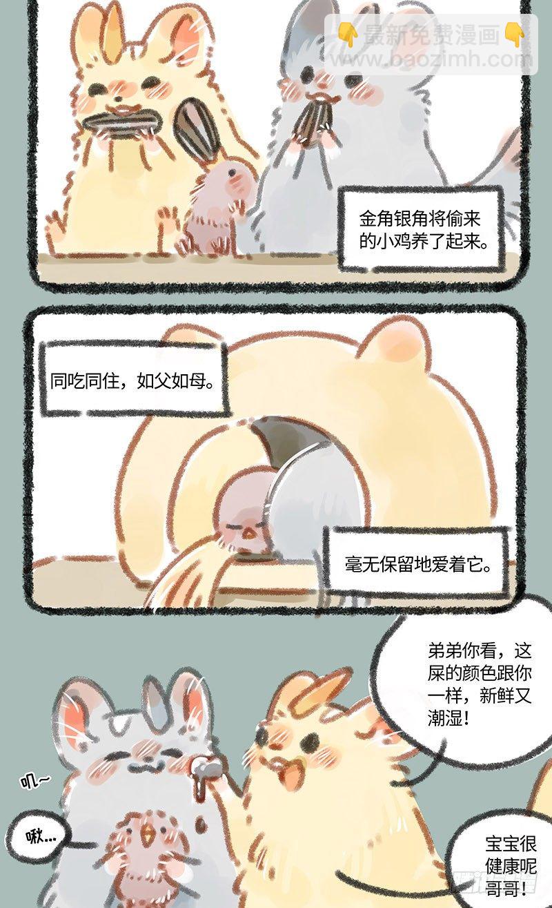 养鸡！3