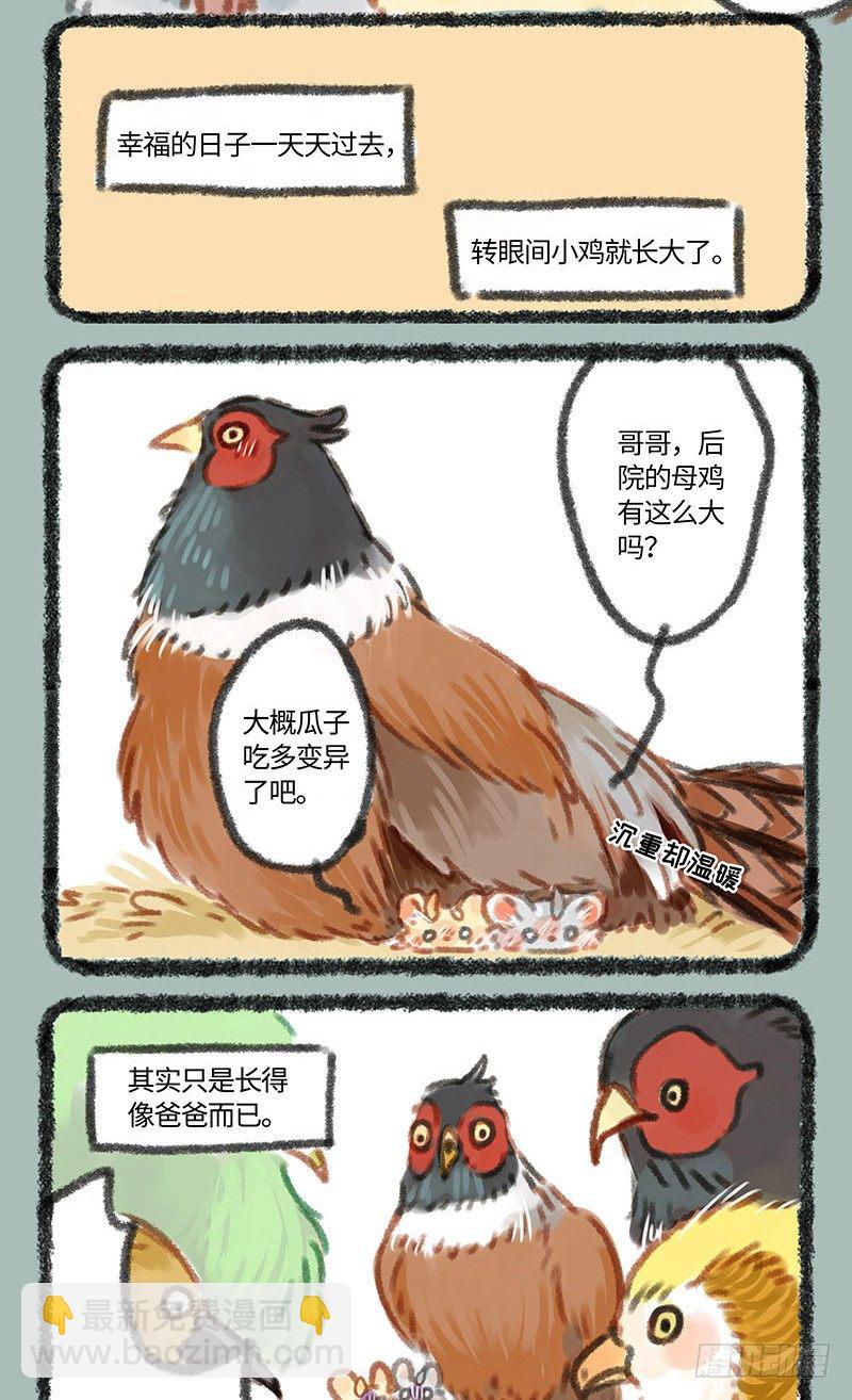 养鸡！4