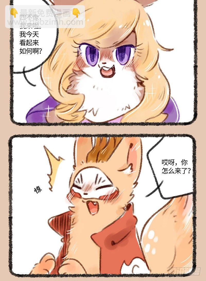 兔娘3