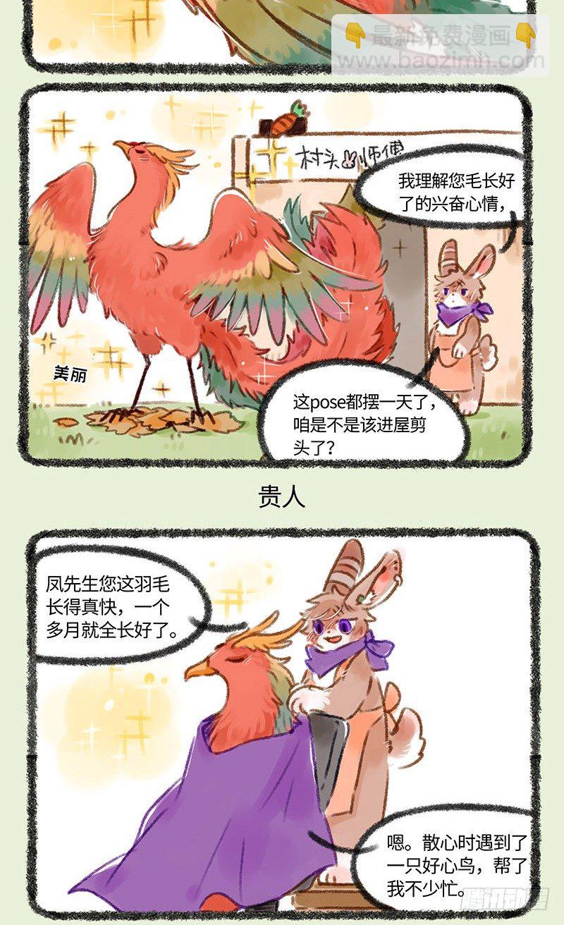脱发者的福音！！2