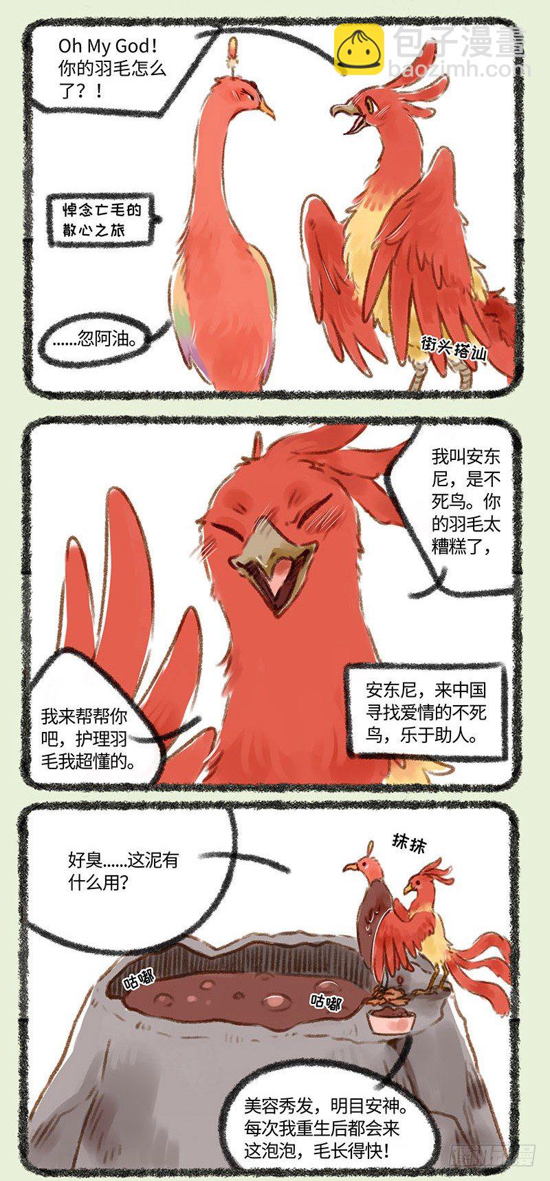 脱发者的福音！！3