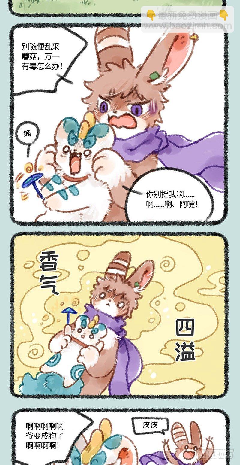 皮皮兔1