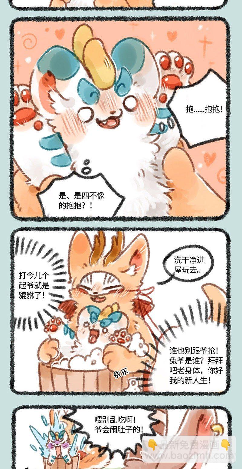 皮皮兔3