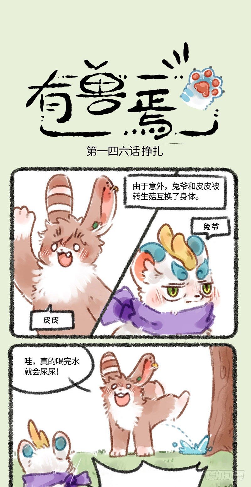 兔兔皮0