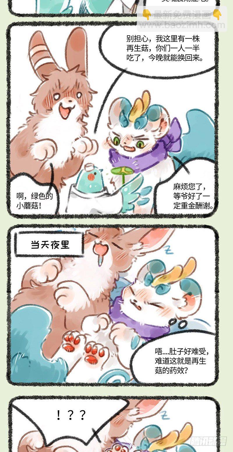兔兔皮3