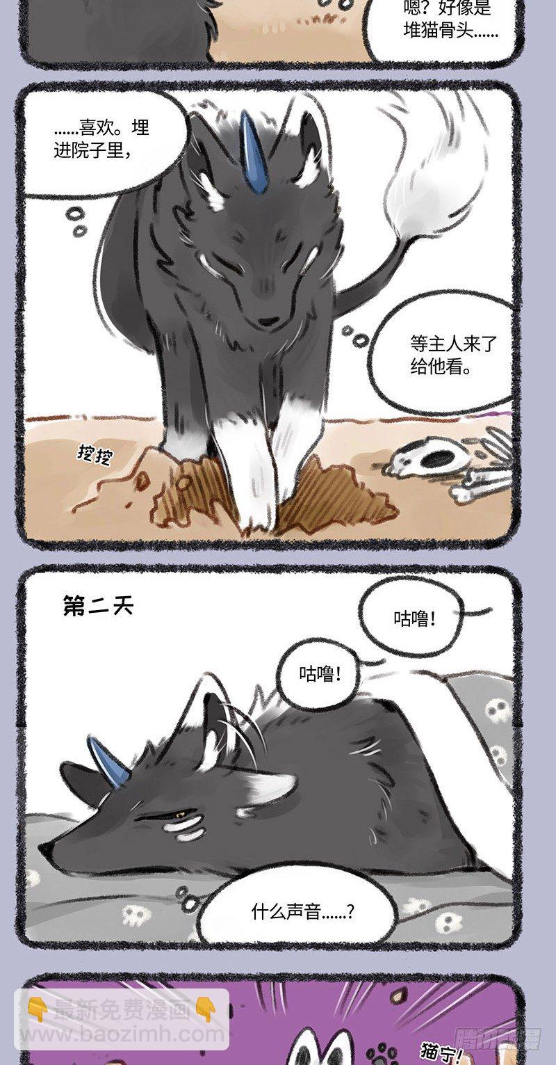 种猫得猫1