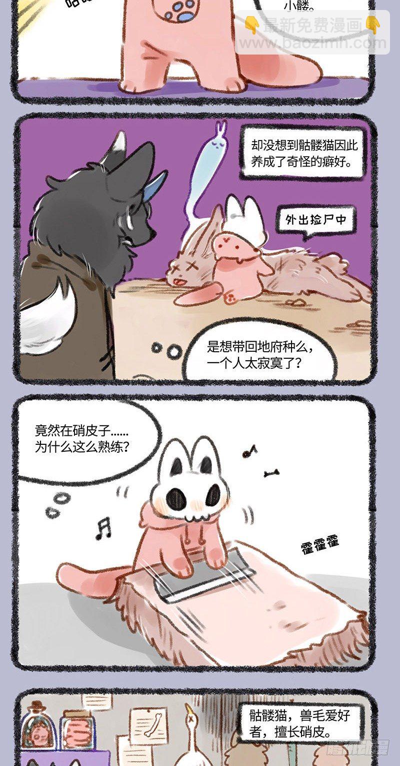 种猫得猫3