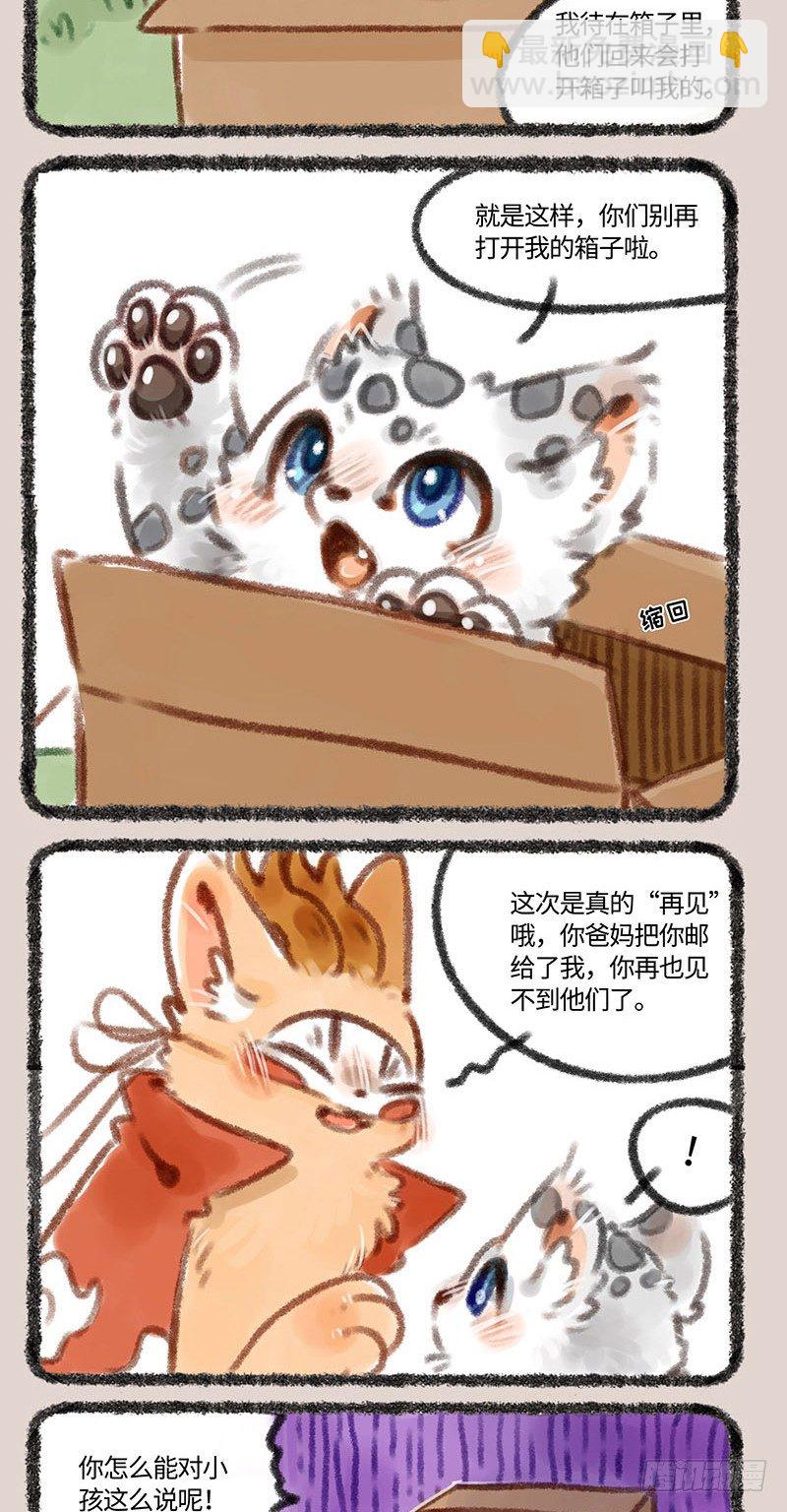 又一只神兽宝宝来啦！3