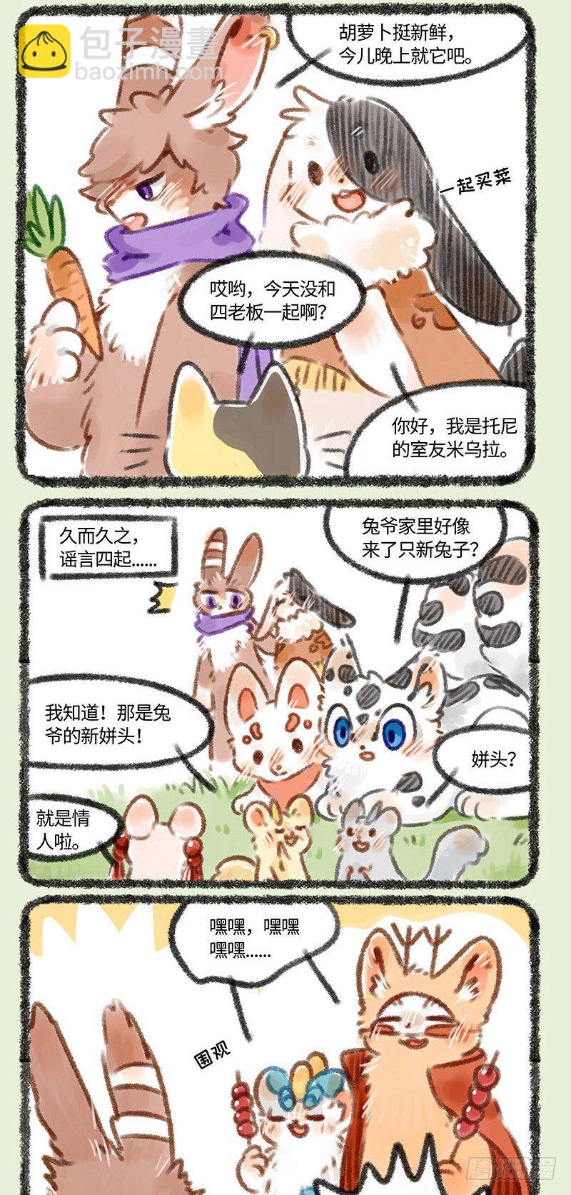 情敌兔1
