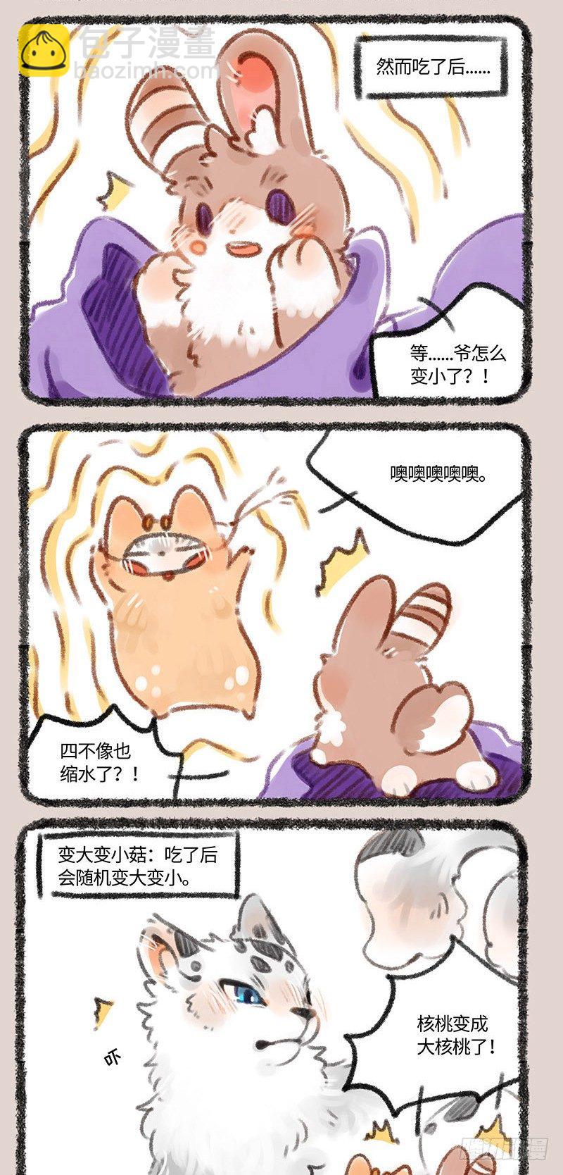 变大！变小！1