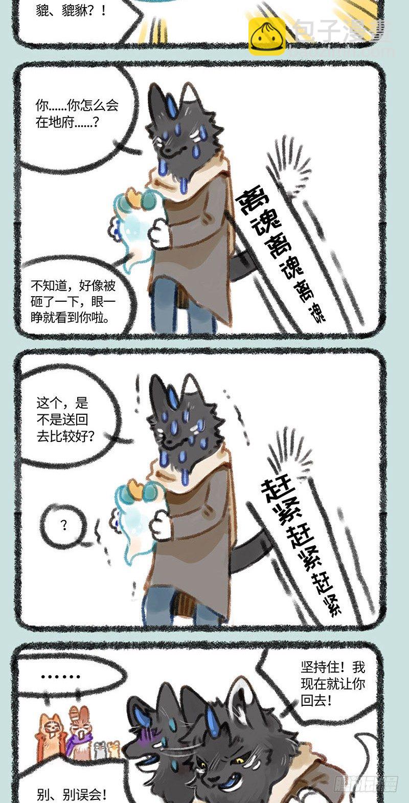 流星来了！3