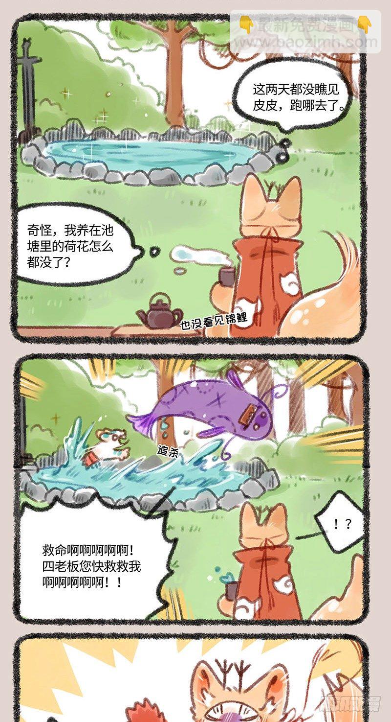 “皮皮”虾和皮皮“虾”3