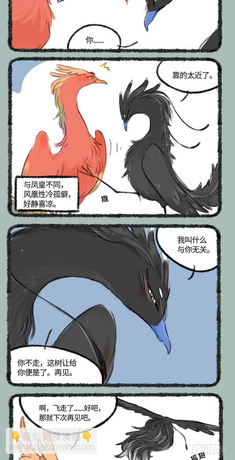 凤皇和风凰3