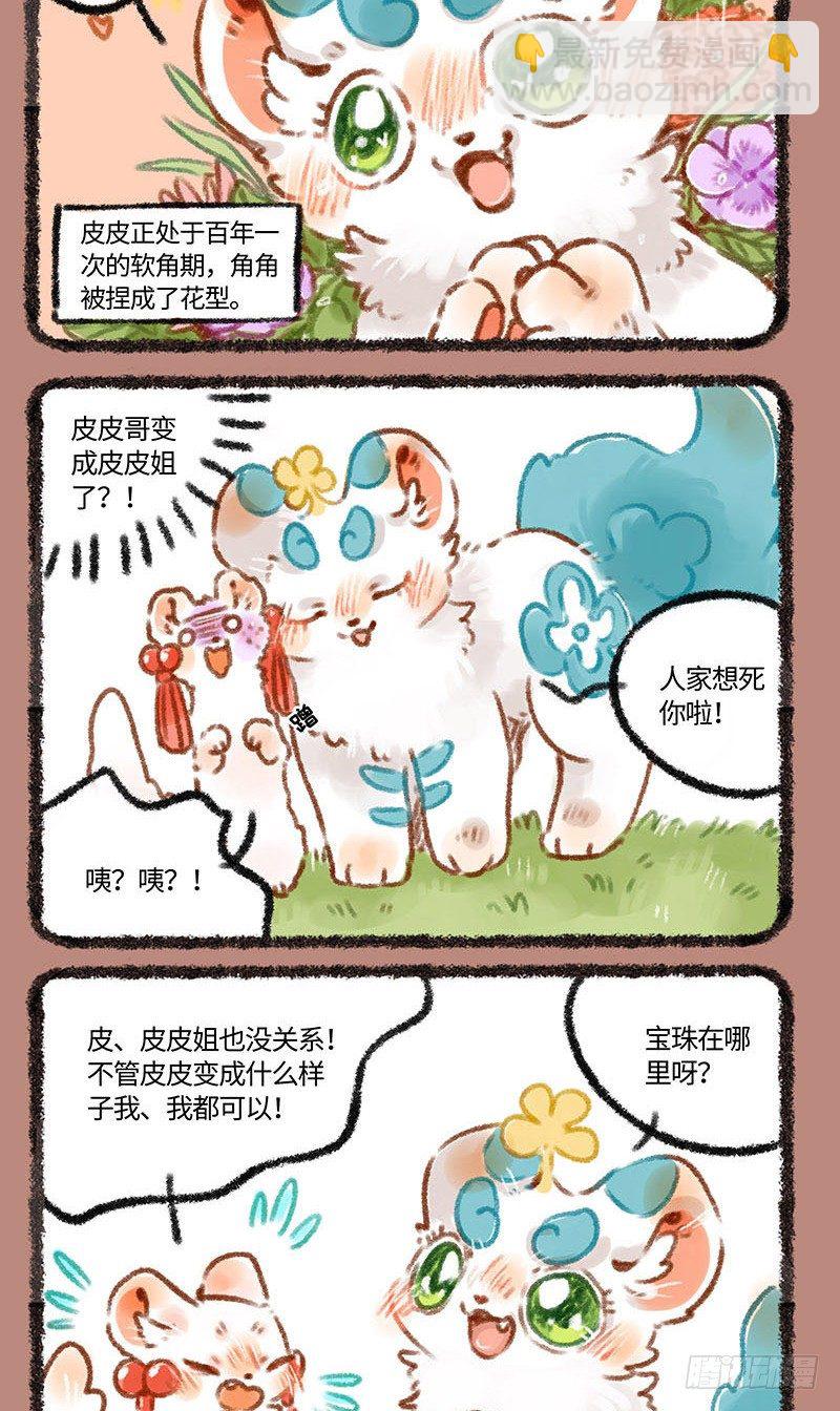 皮皮花1