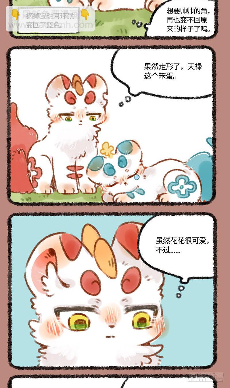 皮皮花3