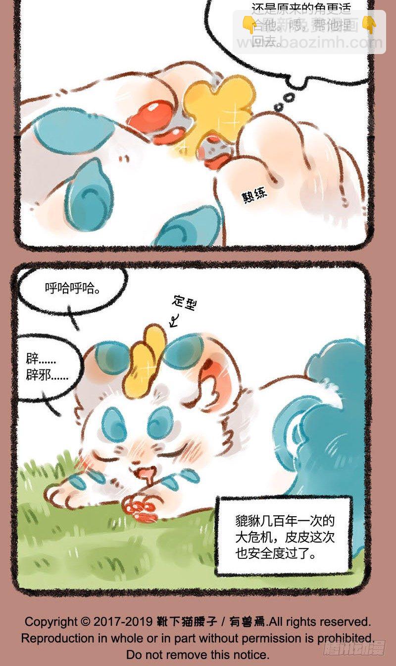 皮皮花4