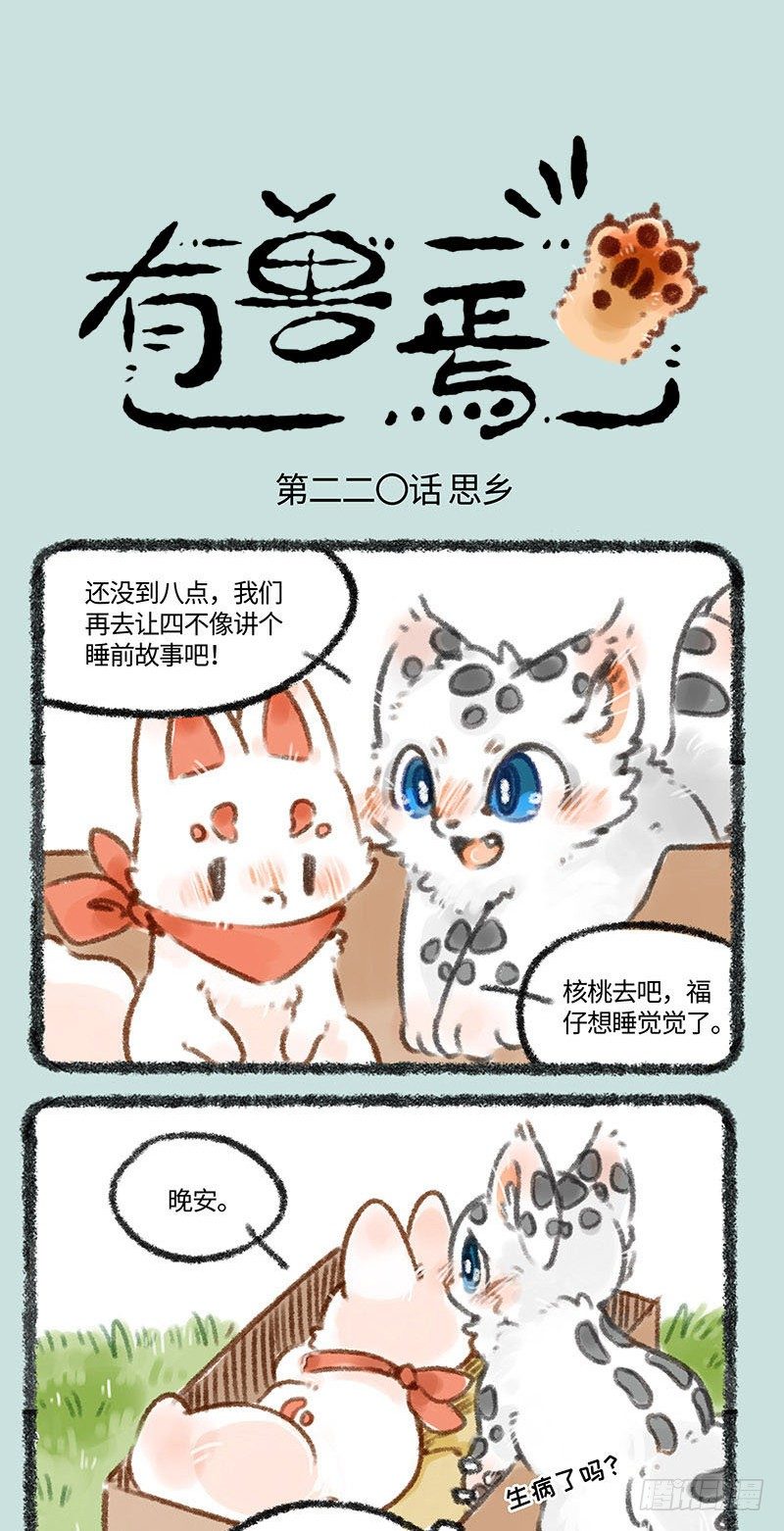 花火会0