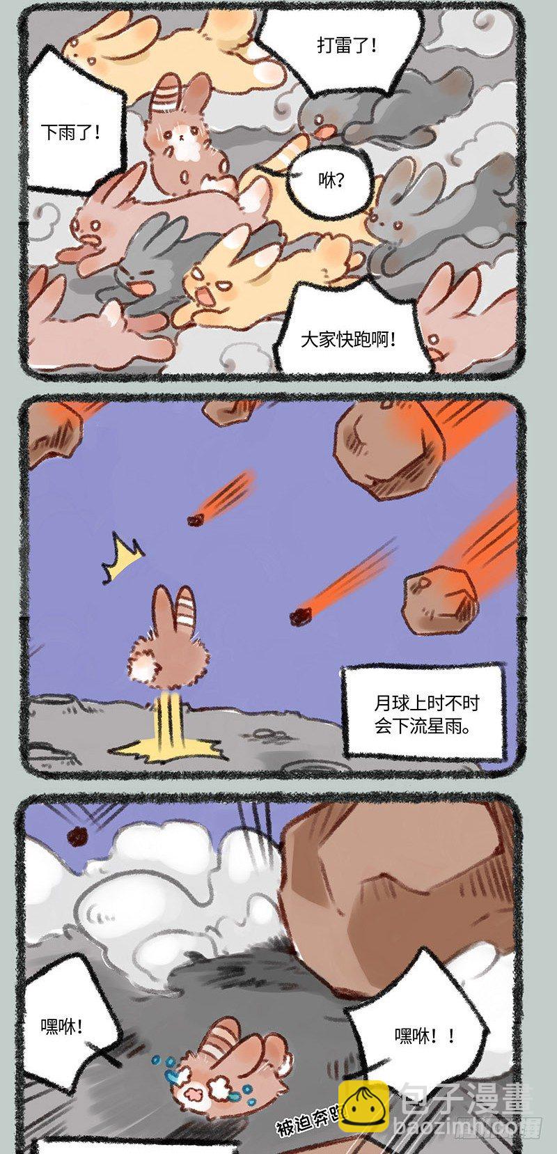 小兔兔成长记1